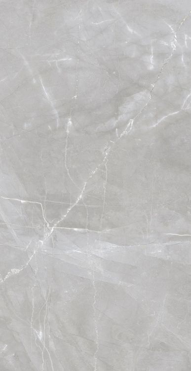 Luxury Amani Grey Matte 24 x 48